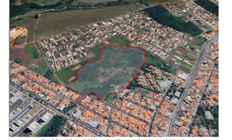 SOS Mata Atlântica