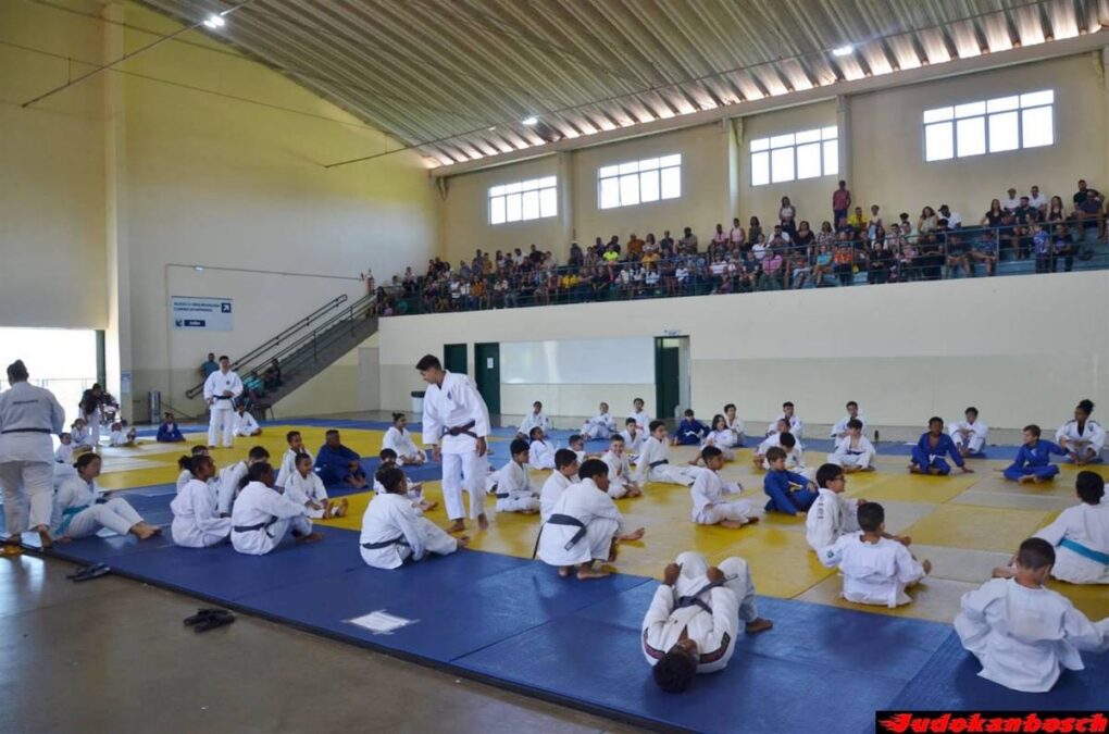 escolinhas esportivas