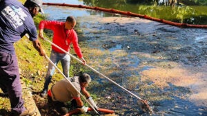 Atitudes simples para prevenir alagamentos durante a temporada de chuvas em Hortolândia