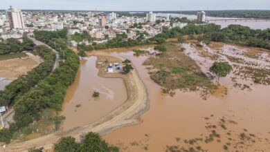 Emergência Climática