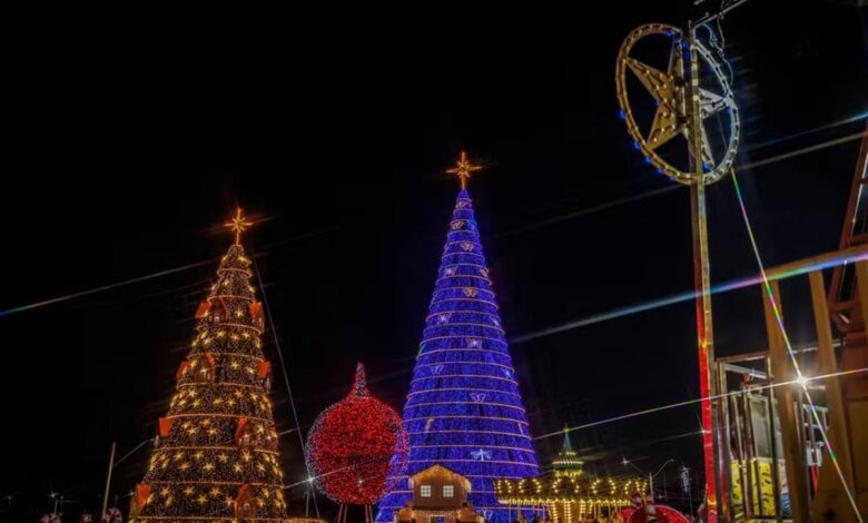 árvore de natal