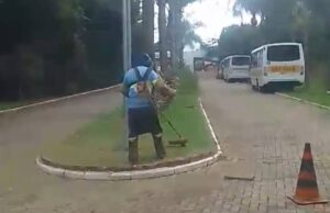 Parque Irmã Dorothy Stang recebe mutirão de limpeza e poda do mato