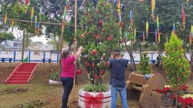 natal sustentável