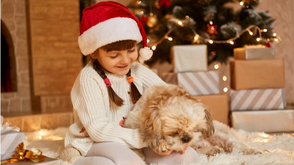 Presente de fim de ano: responsabilidade ao adotar animais