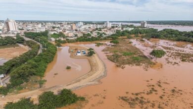 Conferência Municipal do Meio Ambiente