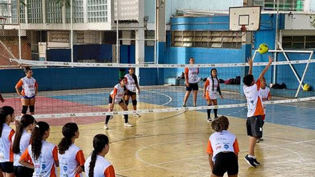 Voleibol