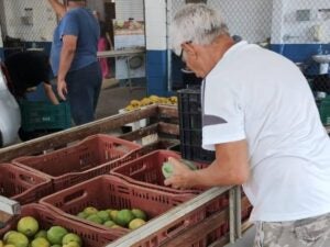 Hortolândia reforça apoio à agricultura familiar com retomada do Banco de Alimentos