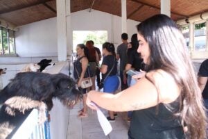 Curso de banho e tosa beneficia 130 cães do DPBEA e capacita alunos em Hortolândia