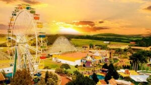 Entrada gratuita no Hopi Hari: saiba quem pode participar