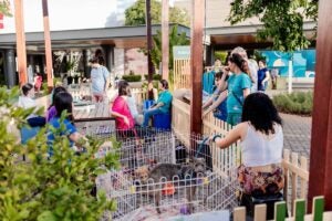 Pet no Parque: feira de adoção agora será realizada mensalmente