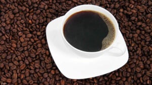 Festival do Café Especial acontece neste fim de semana com entrada gratuita