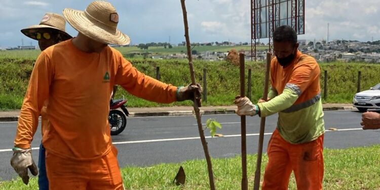 Canteiros centrais de avenidas são revitalizados em Hortolândia