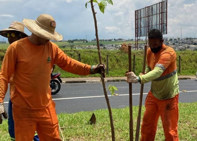 Canteiros centrais de avenidas são revitalizados em Hortolândia