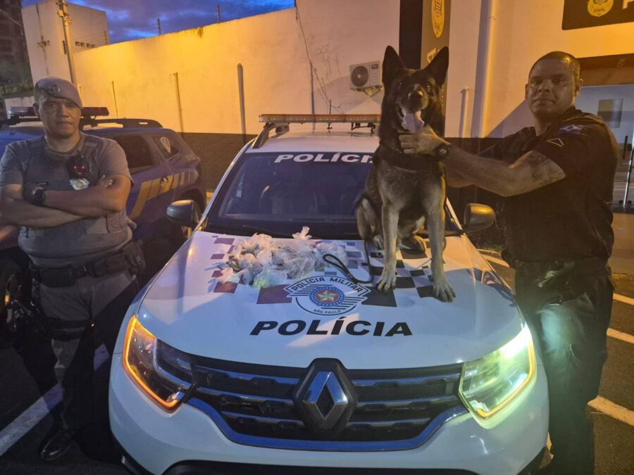 tráfico