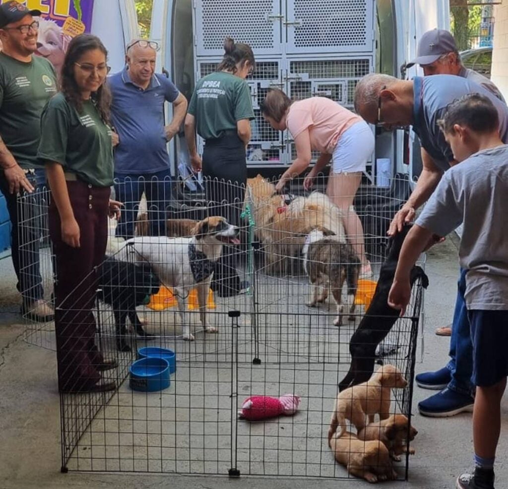 Feira de Adoção