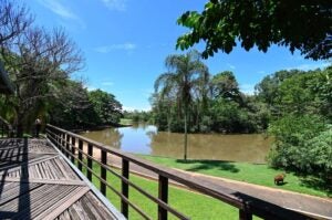O que abre e fecha em Campinas durante o carnaval