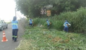 Confira quais unidades de saúde receberam poda de mato e limpeza em Hortolândia