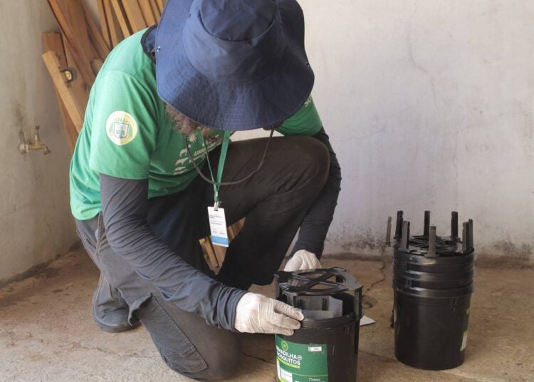 Armadilhas caseiras contra o Aedes aegypti