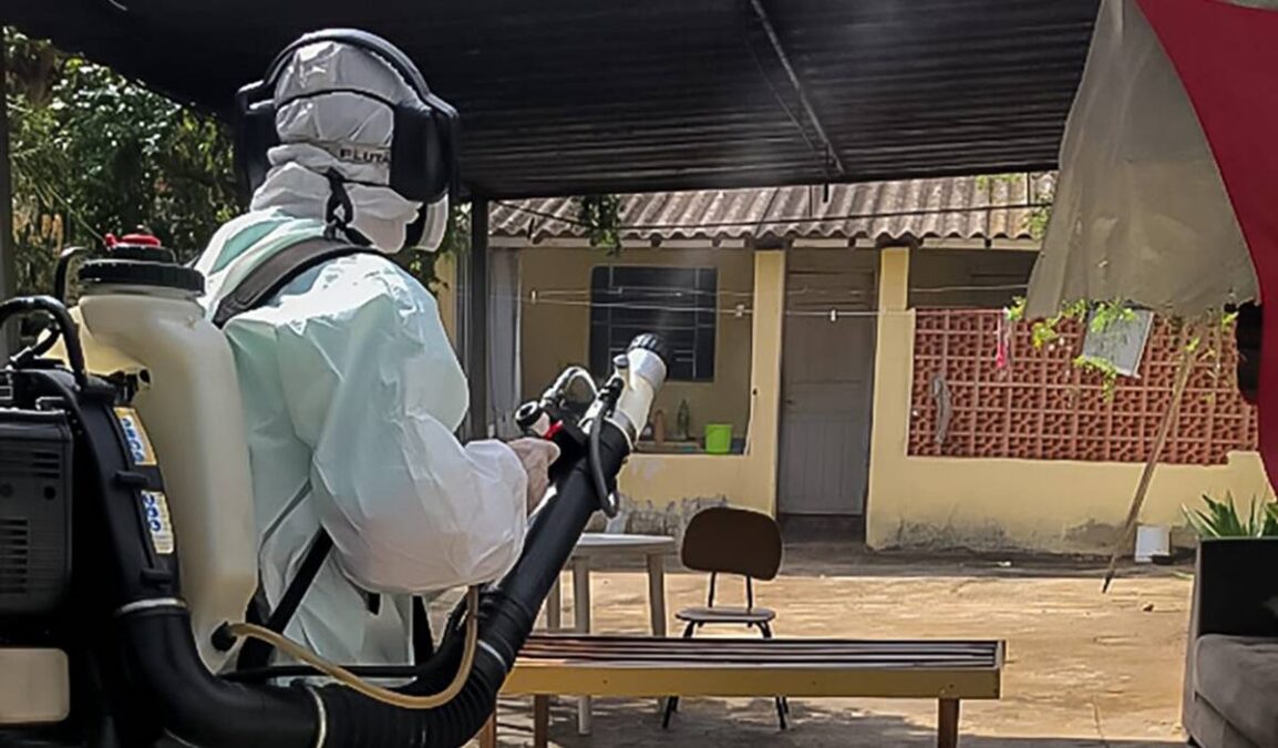 Mosquito da dengue