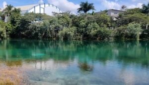 Hortolândia celebra a “Semana da Água 2025” com programação especial