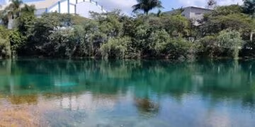Meio Ambiente