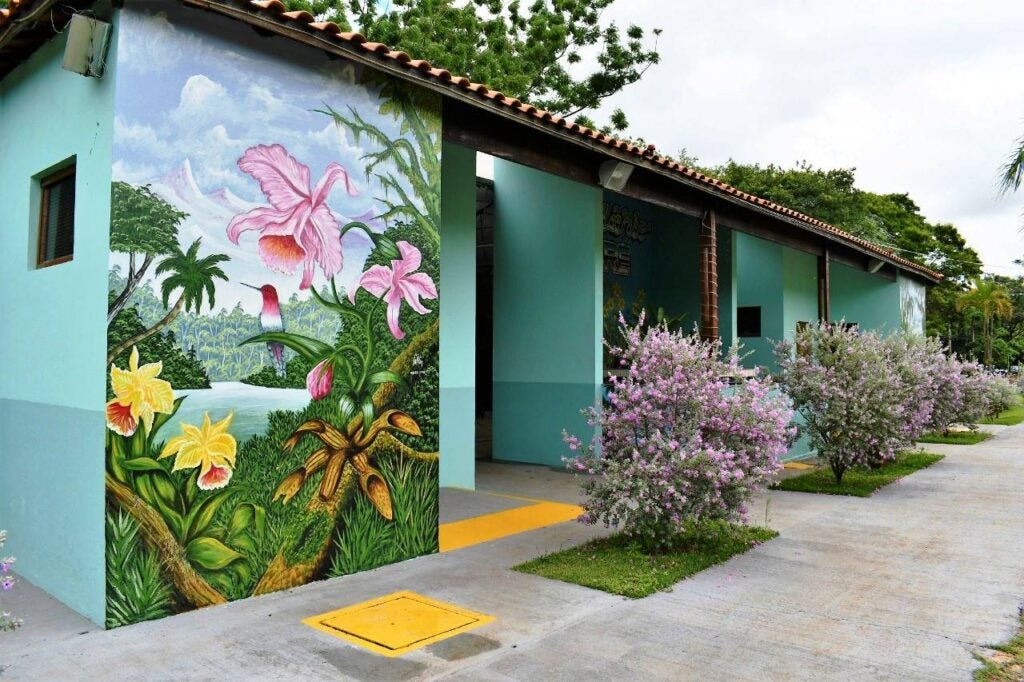 mostra de orquídeas