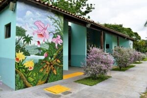 18ª Mostra de Orquídeas de Sumaré: Tradição e beleza em exposição com entrada gratuita