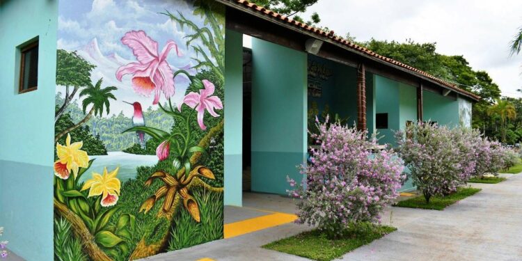 mostra de orquídeas