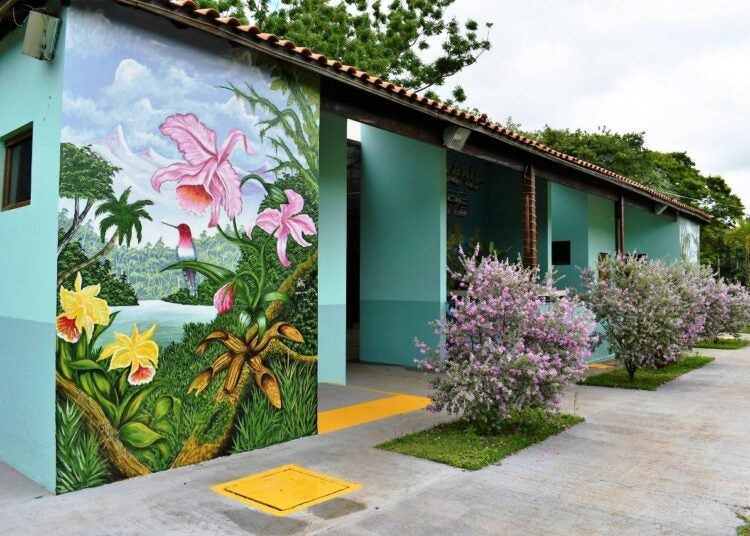 mostra de orquídeas