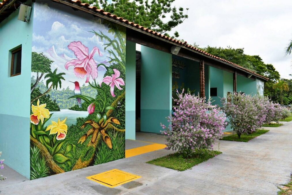 mostra de orquídeas