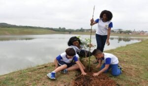 Hortolândia recebe título de “Cidade Árvore do Mundo” pela 3ª vez