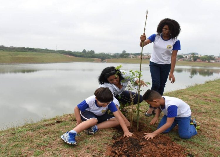 Cidade Árvore do Mundo