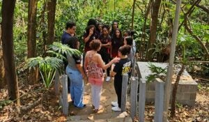 Valorização das nascentes de Hortolândia: conheça projeto