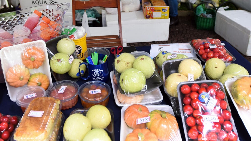 agricultura familiar