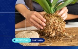 Inscrições gratuitas para curso de técnica japonesa de plantio em Hortolândia