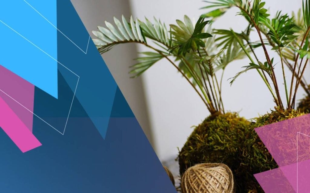 Curso gratuito de Kokedama em Hortolândia