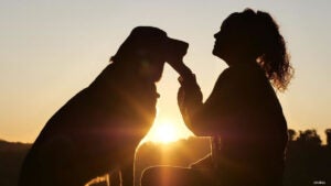 Mulheres celebram o “Dia das Mães” como mães de pets