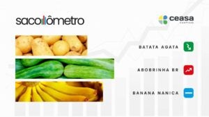 Tomate e abobrinha puxam alta de preços na Ceasa Campinas; Veja destaques do Sacolômetro