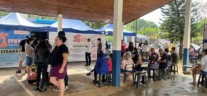 Hortolândia abre inscrições para mutirão de castração gratuita com 690 vagas