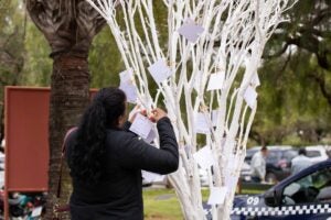 Parque Hortolândia se prepara para Dia de Finados com novidades