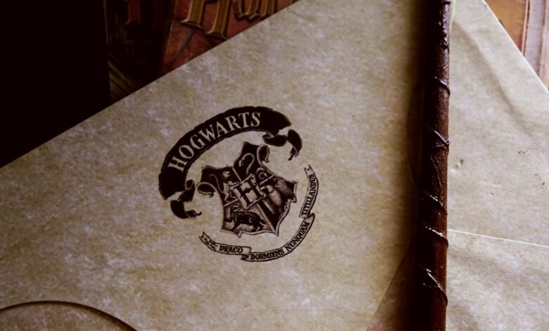 fãs de harry potter