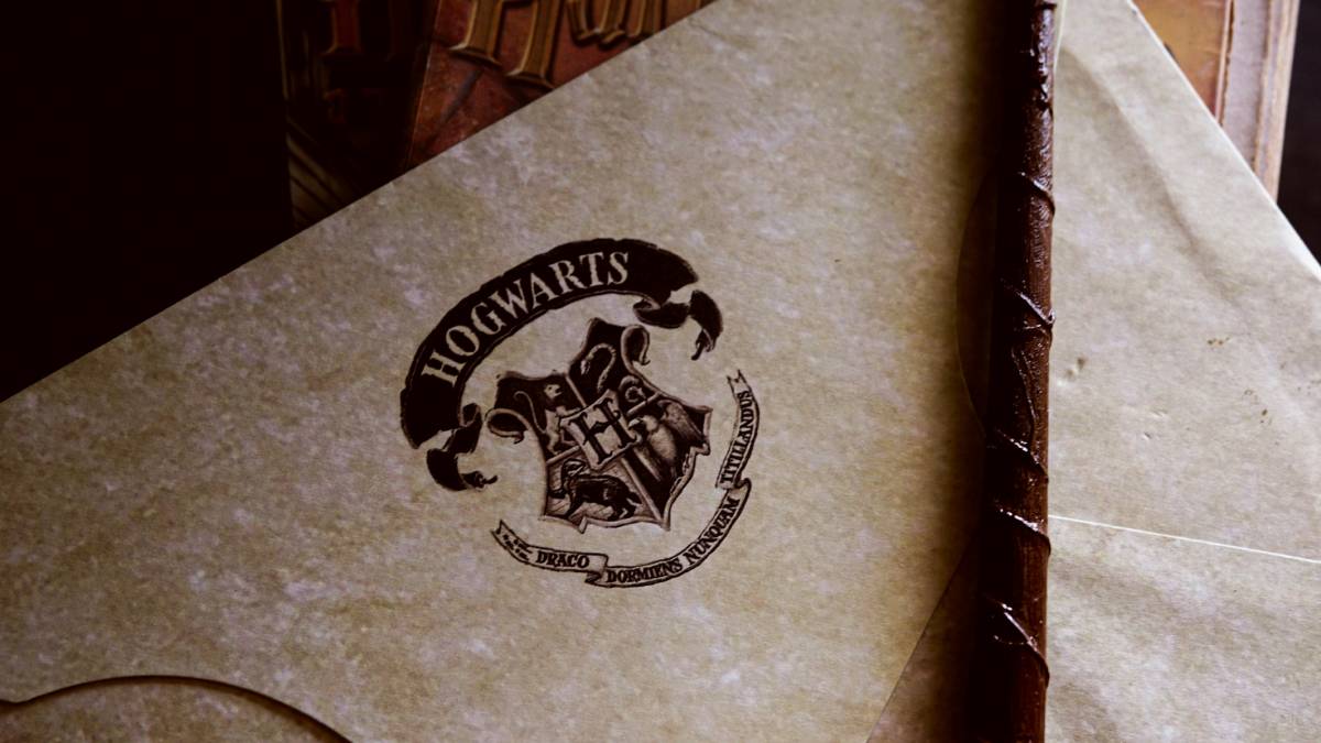 fãs de harry potter