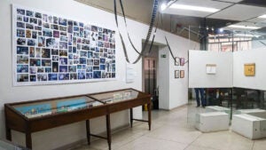 50 anos do Núcleo de Cinema de Animação de Campinas – exposição comemorativa segue para o MIS-Campinas