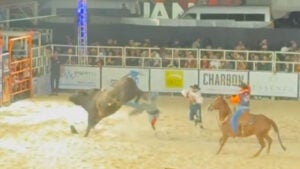 Peão de rodeio pisoteado por touro segue internado em estado estável