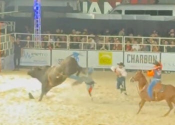 Peão de rodeio pisoteado por touro segue internado em estado estável
