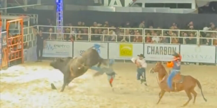 Peão de rodeio pisoteado por touro segue internado em estado estável