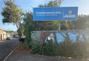 Viveiro Municipal atende temporariamente por WhatsApp: confira