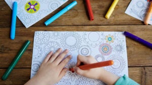 Campinas Shopping promove oficina de Bobbie Goods