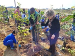 Hortolândia celebra Dia da Árvore com plantio da 2ª Micro Floresta Urbana