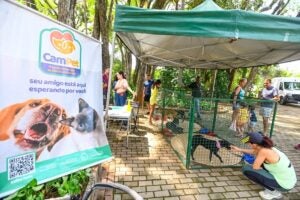 Feira de Adoção Campet acontece neste domingo  (8) na Lagoa do Taquaral